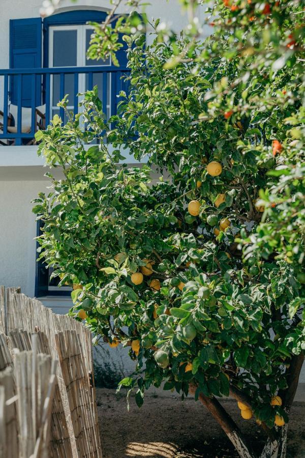 Olympia Livadi (Serifos) Exterior foto